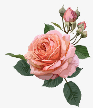 唯美手繪花卉與數碼產品的跨界詩意