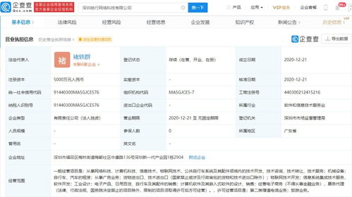 信息系統集成服務的全面解析